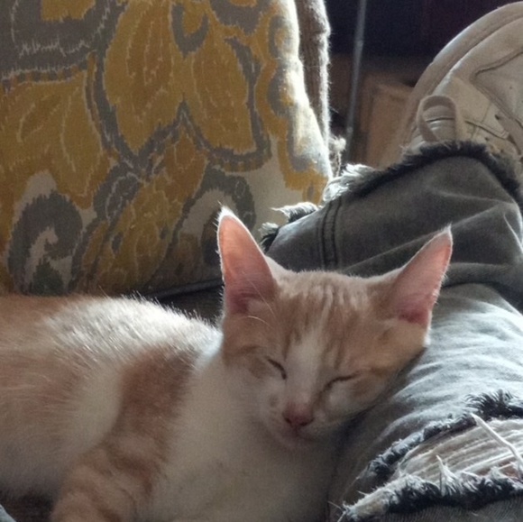 Meet your Posher, Leon - Picture 1 of 1